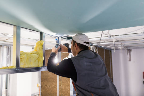 Types of Insulation We Offer in Shelton, WA